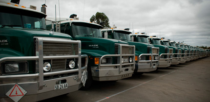 GEM Group bulldozers